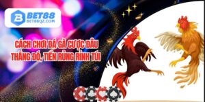 Cách Chơi Đá Gà