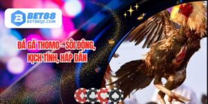 Đá Gà Thomo BET88 Được Giới Kê Thủ Săn Lùng Hàng Đầu 2025