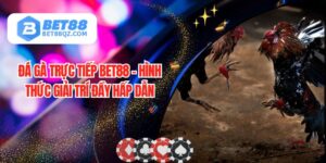 Đá Gà Trực Tiếp BET88 - Hình Thức Giải Trí Đầy Hấp Dẫn